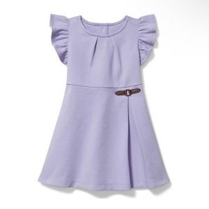 EUC Janie & Jack lavender ruffle sleeve dress size 10
